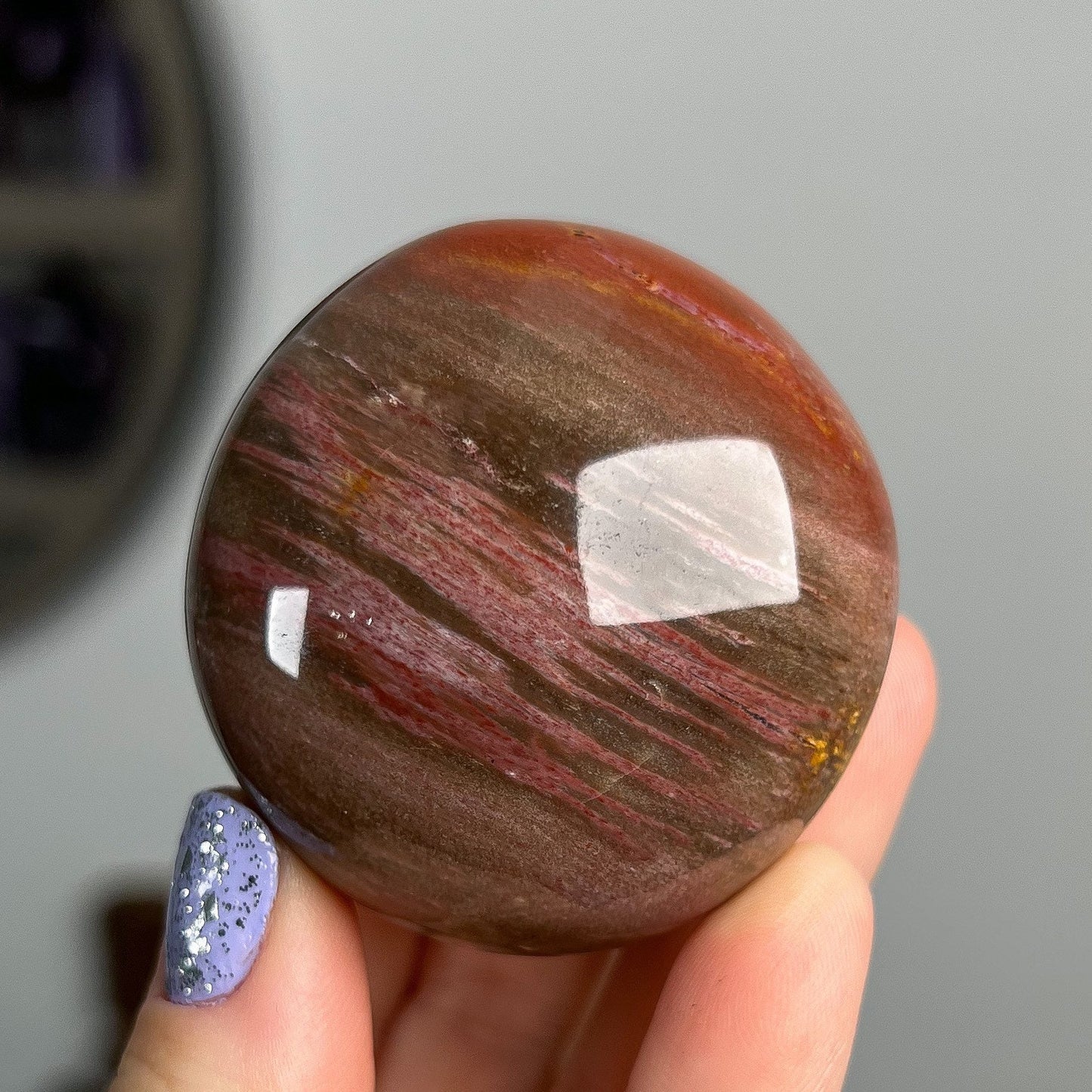 Petrified Wood Quartz Palm Stones