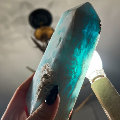 Large Caribbean Calcite Tower
