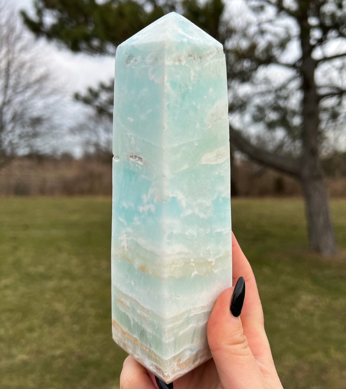 Large Caribbean Calcite Tower