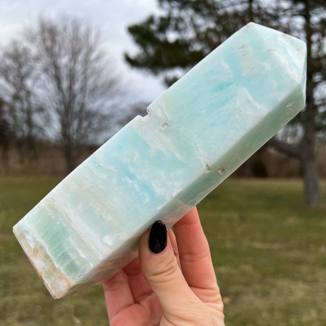 Large Caribbean Calcite Tower