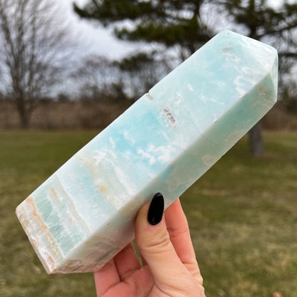 Large Caribbean Calcite Tower