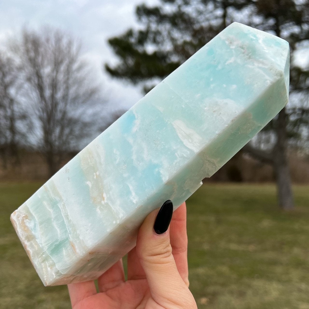 Large Caribbean Calcite Tower