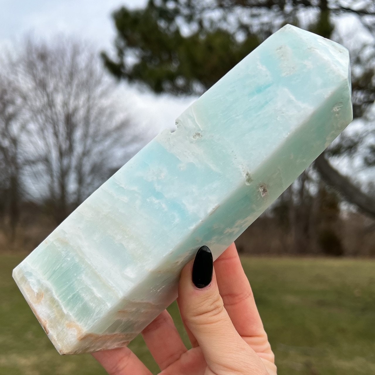 Large Caribbean Calcite Tower