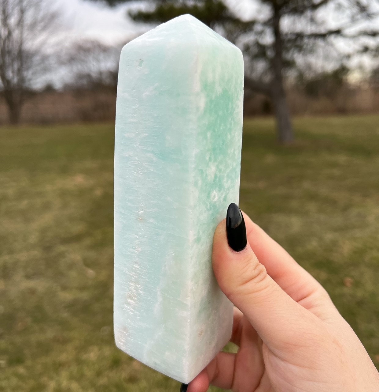 Large Caribbean Calcite Tower