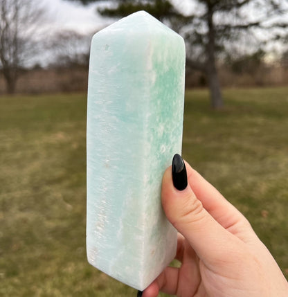 Large Caribbean Calcite Tower