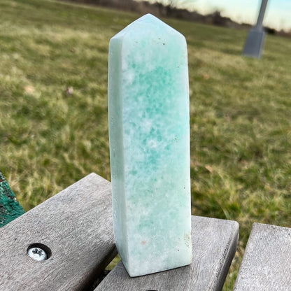 Large Caribbean Calcite Tower