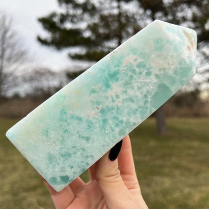 Large Caribbean Calcite Tower