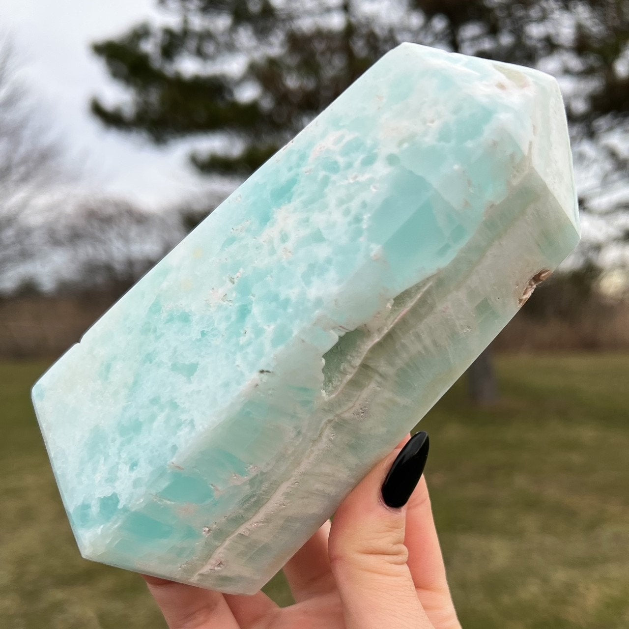 Large Caribbean Calcite Tower