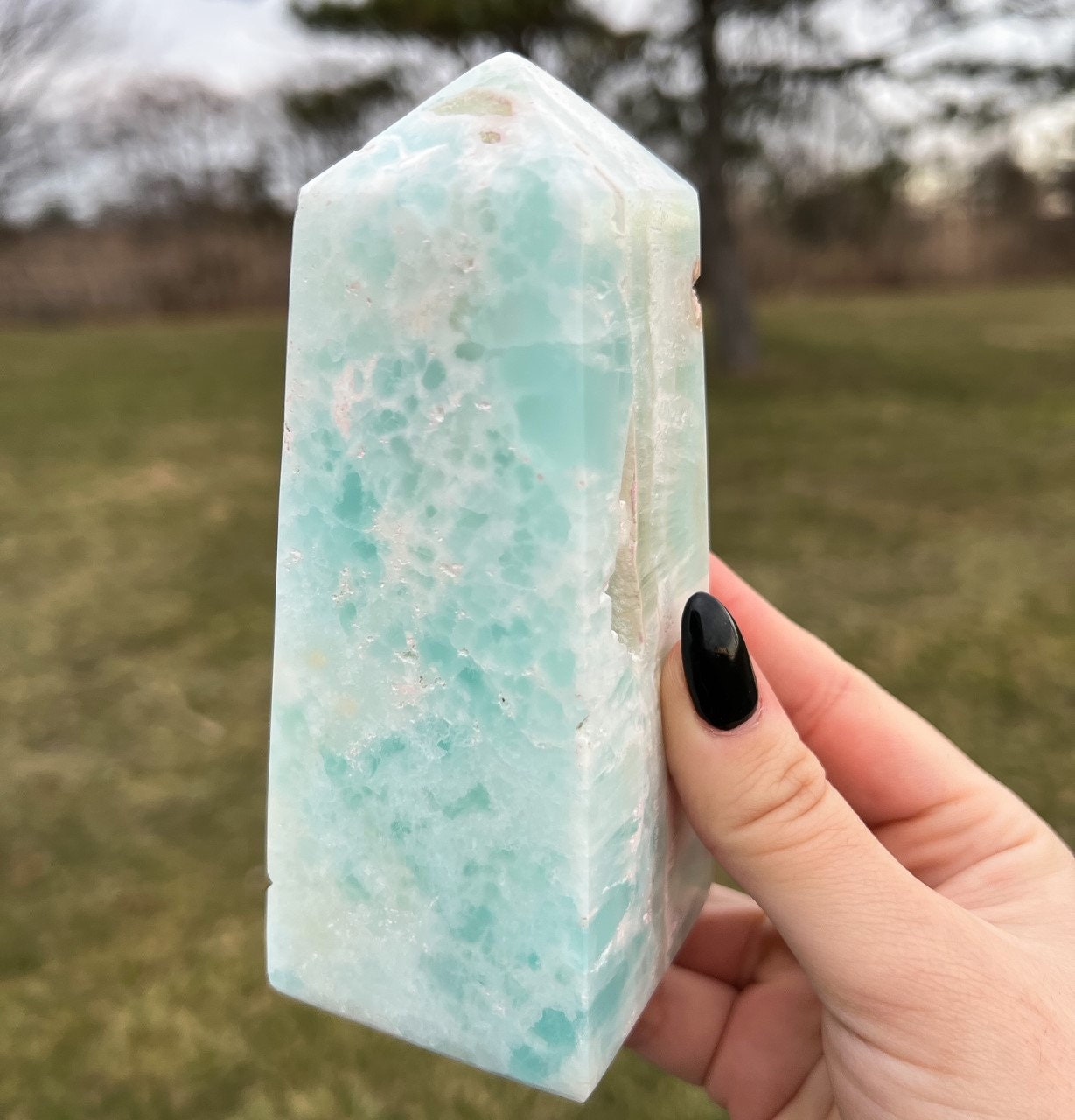 Large Caribbean Calcite Tower