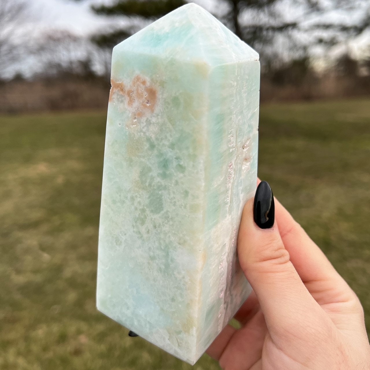 Large Caribbean Calcite Tower