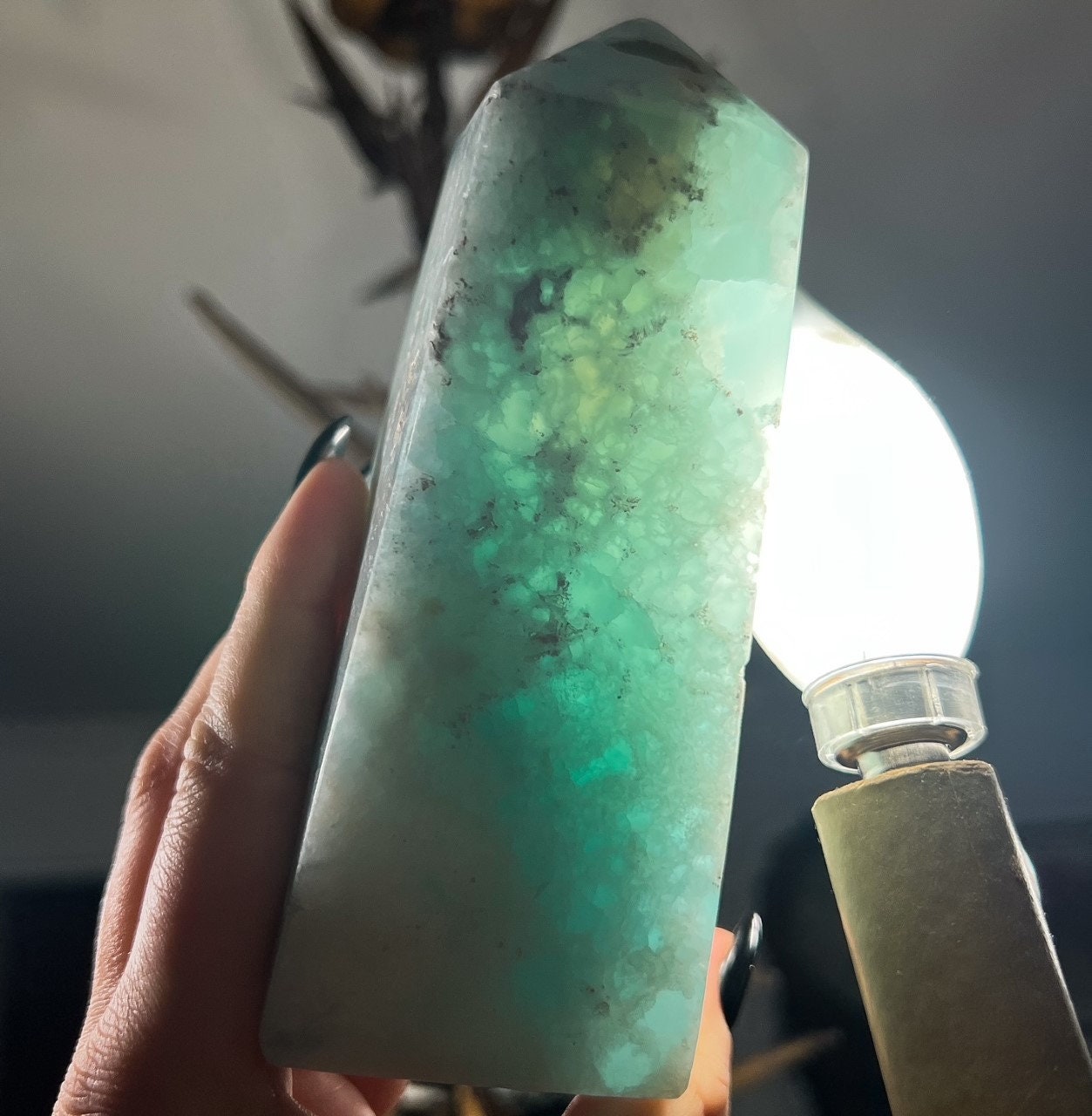 Large Caribbean Calcite Tower