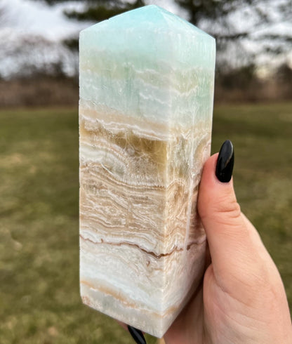 Large Caribbean Calcite Tower