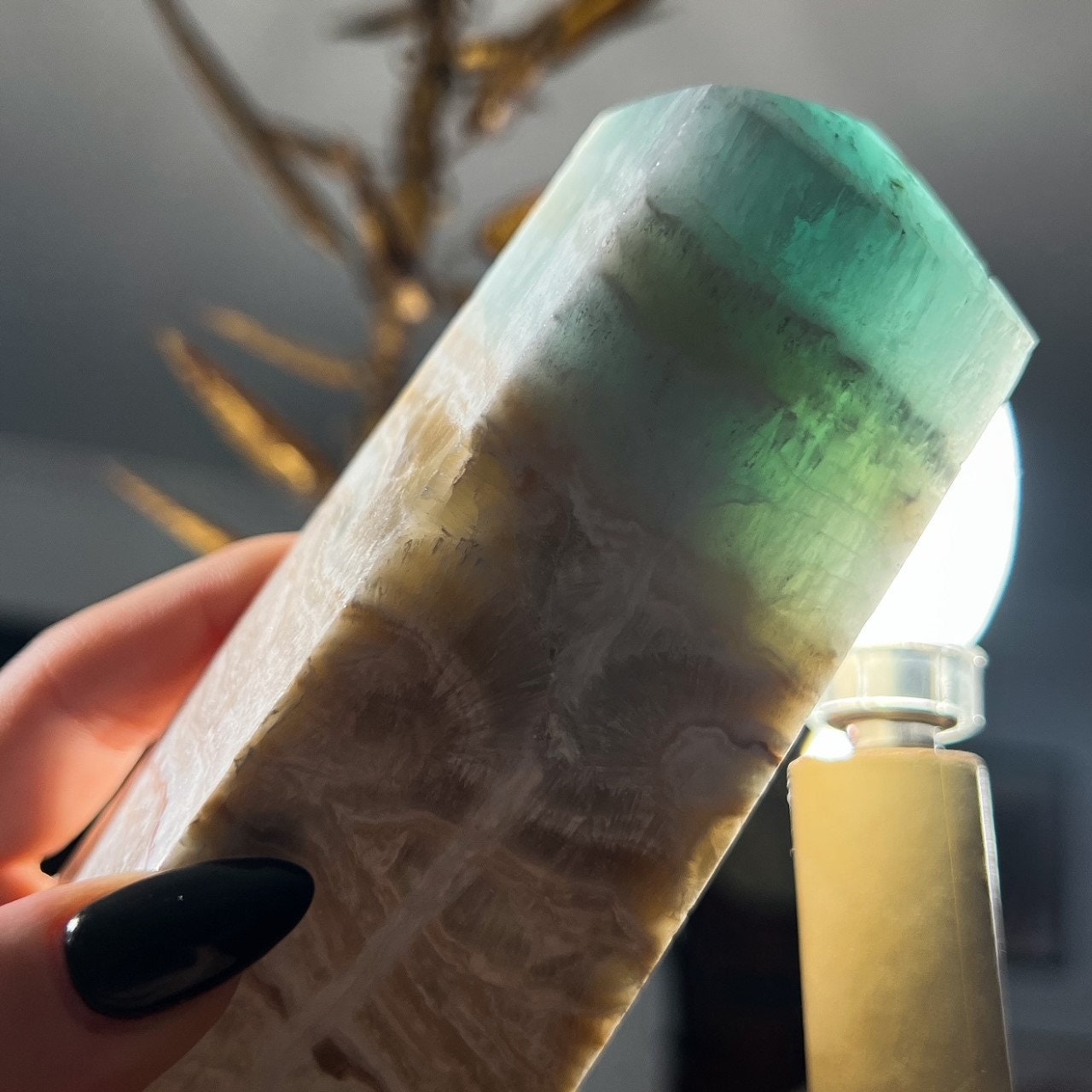 Large Caribbean Calcite Tower