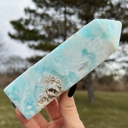 Large Caribbean Calcite Tower
