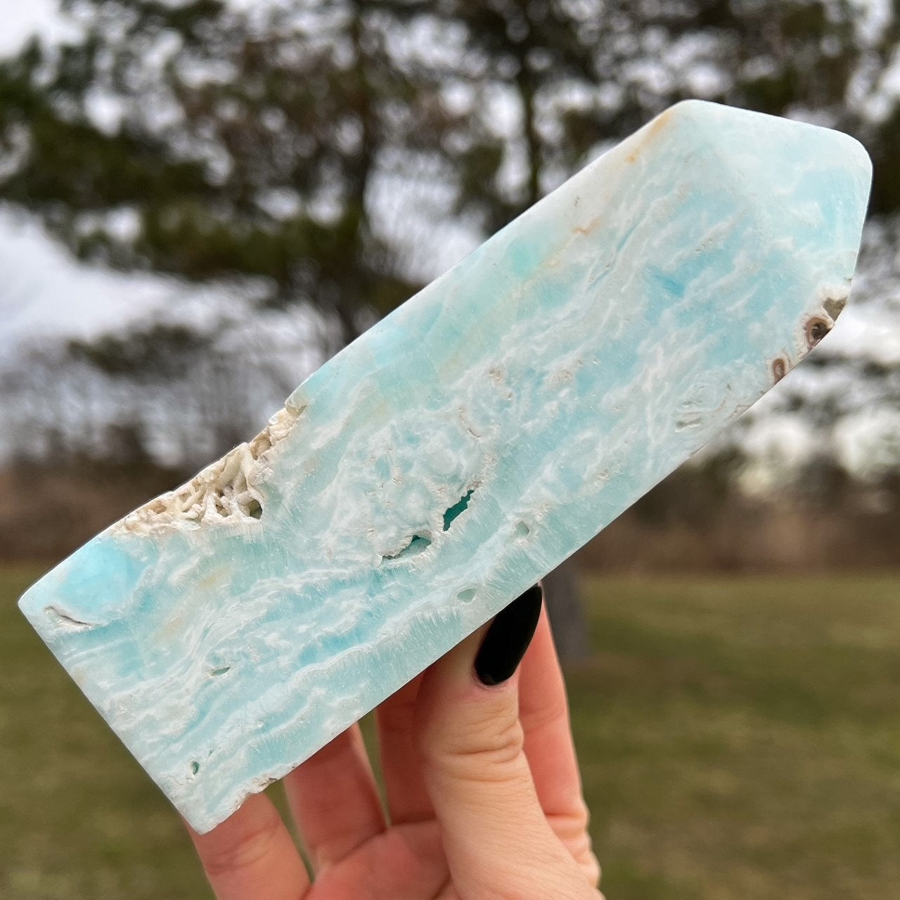 Large Caribbean Calcite Tower