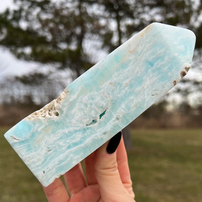 Large Caribbean Calcite Tower