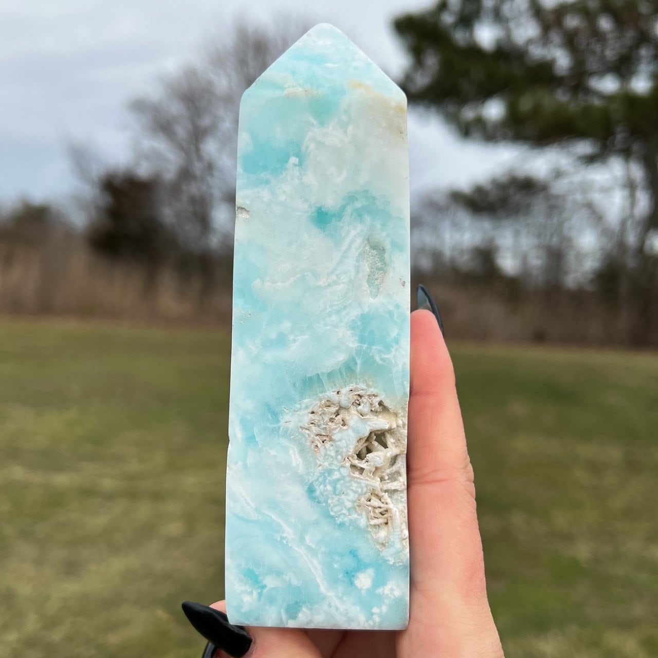 Large Caribbean Calcite Tower