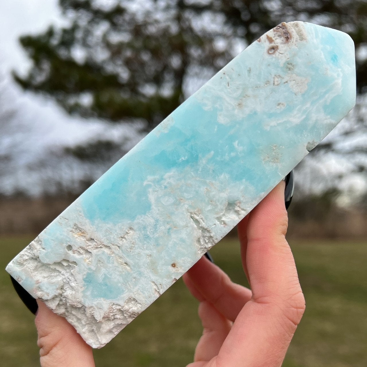 Large Caribbean Calcite Tower