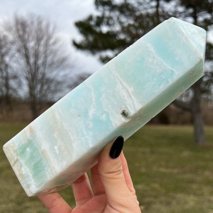 Large Caribbean Calcite Tower