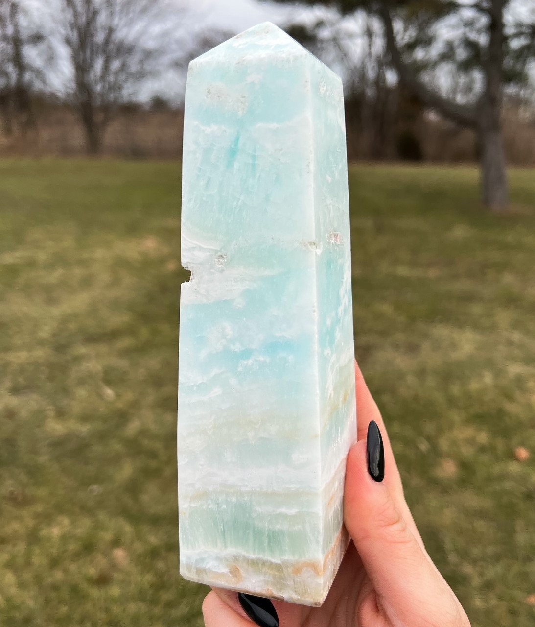 Large Caribbean Calcite Tower