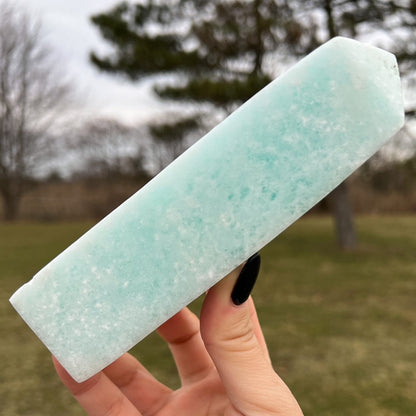 Large Caribbean Calcite Tower