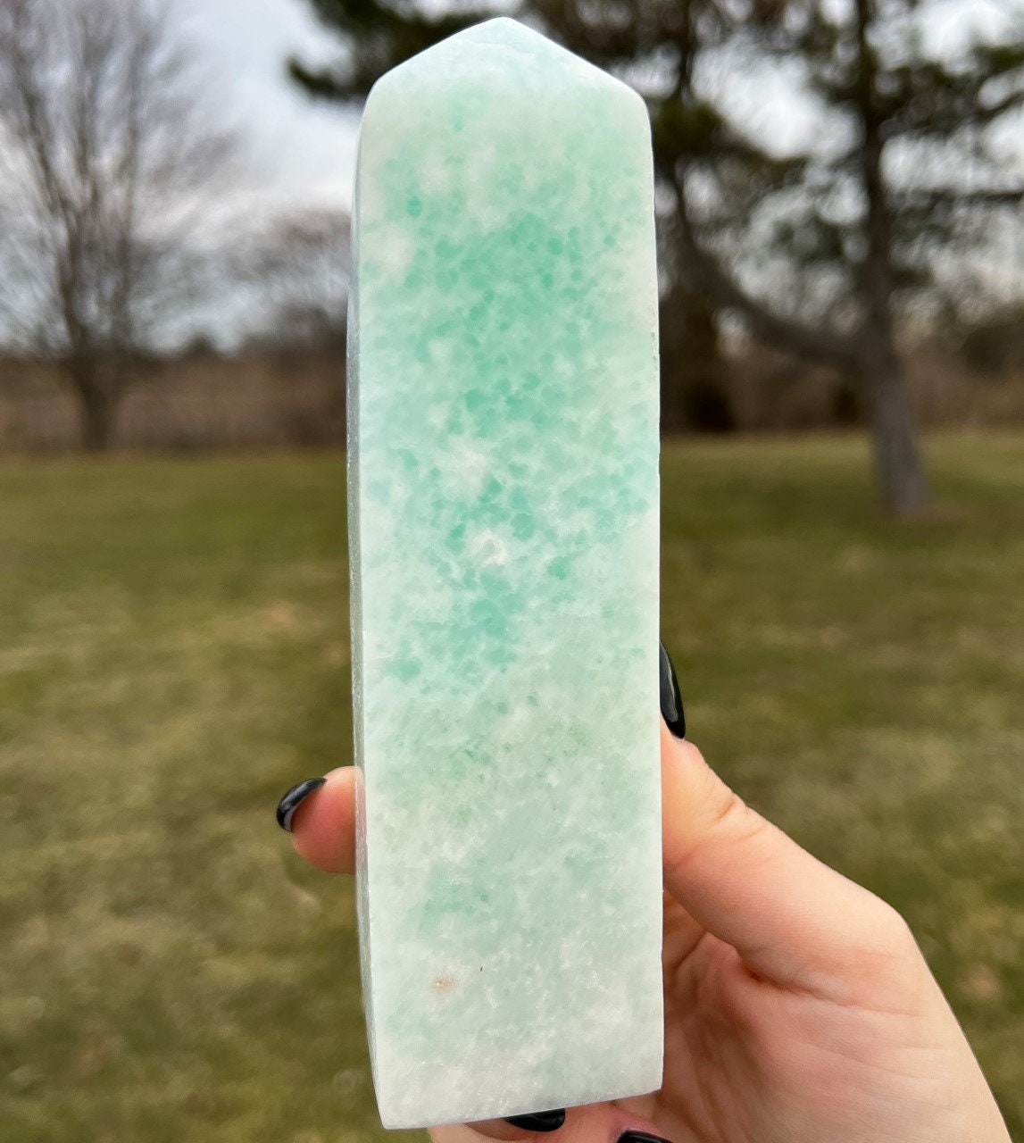 Large Caribbean Calcite Tower