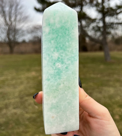 Large Caribbean Calcite Tower
