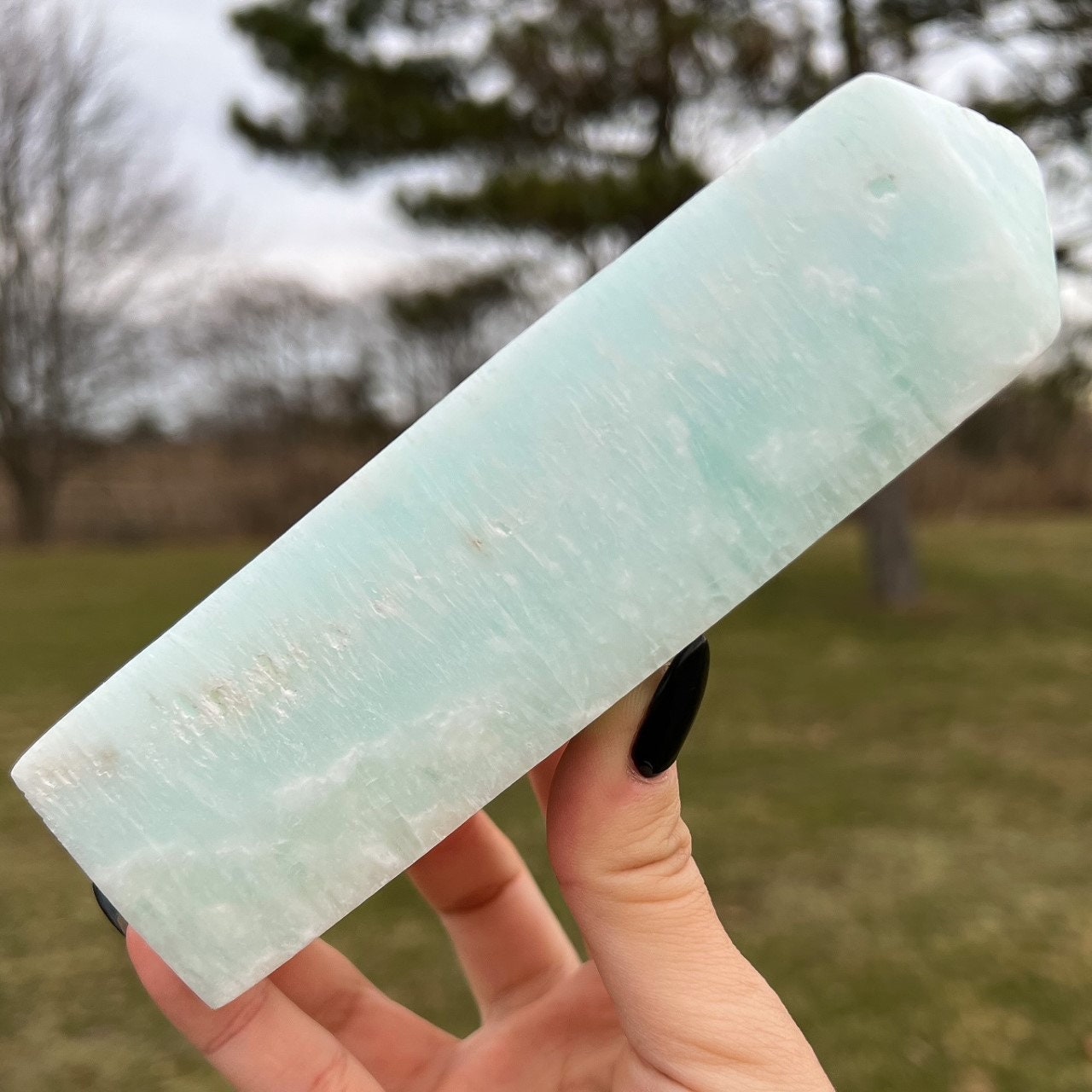 Large Caribbean Calcite Tower
