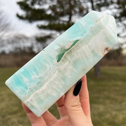 Large Caribbean Calcite Tower