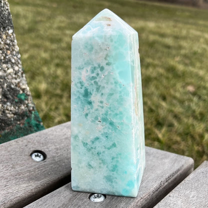 Large Caribbean Calcite Tower