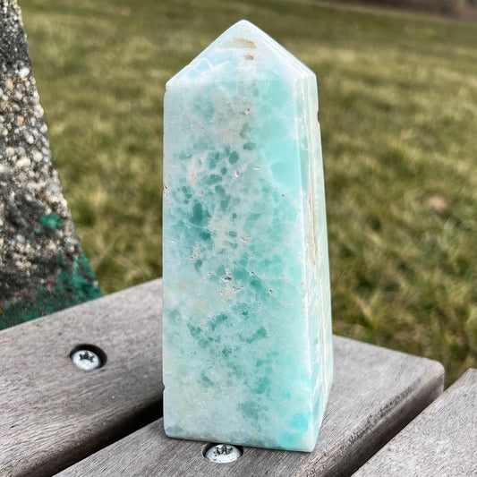 Large Caribbean Calcite Tower