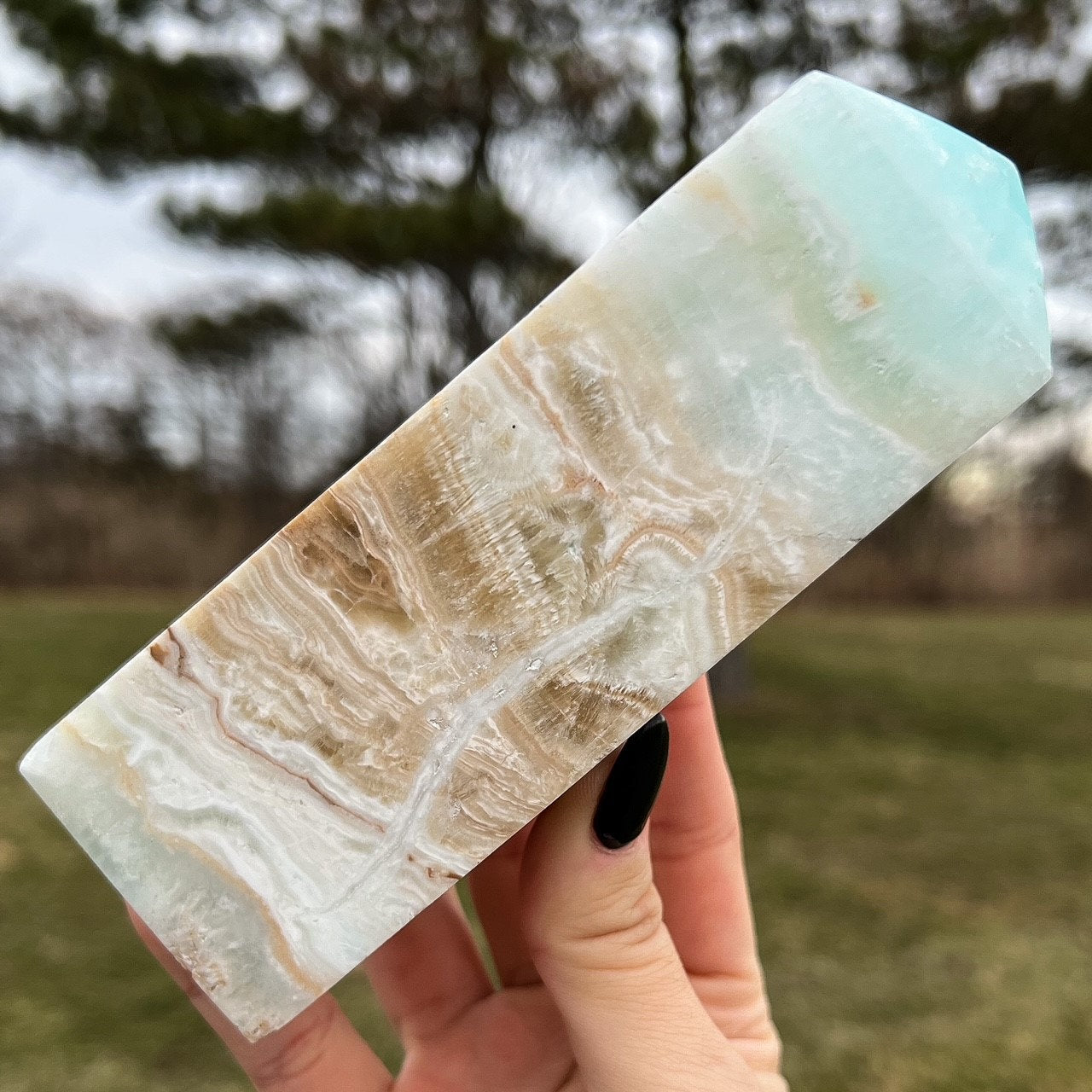 Large Caribbean Calcite Tower