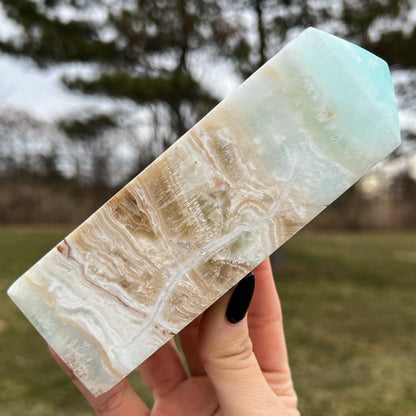 Large Caribbean Calcite Tower