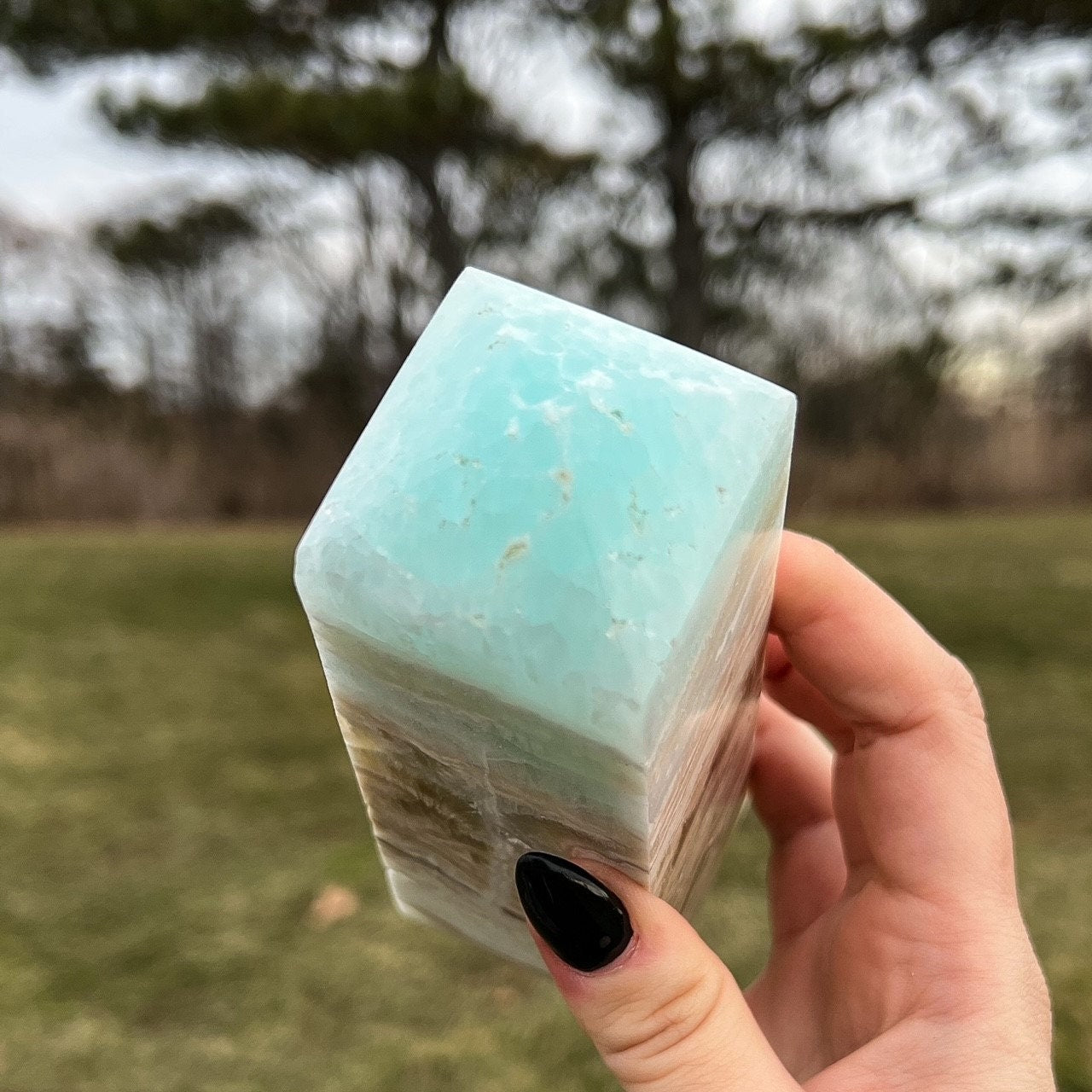 Large Caribbean Calcite Tower