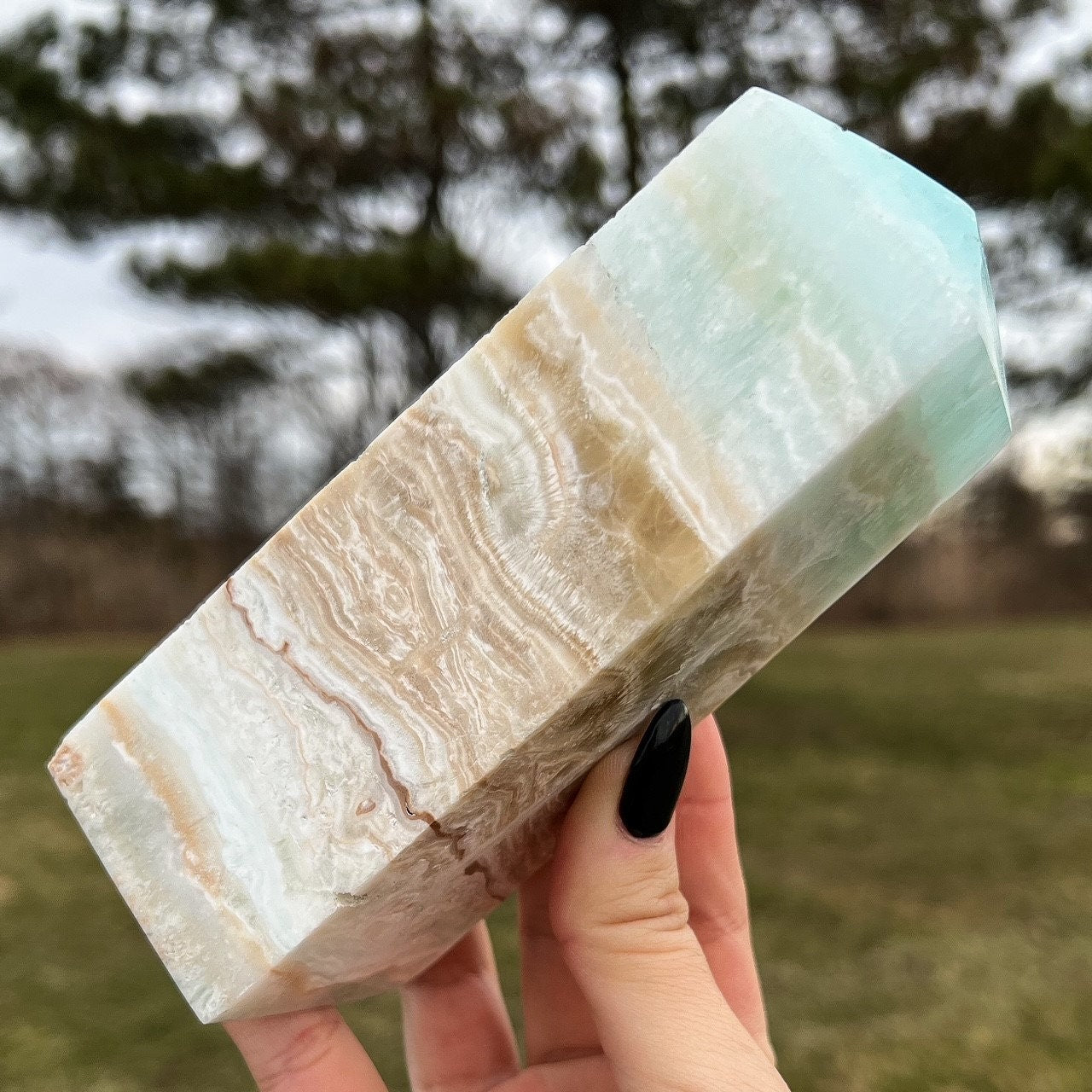 Large Caribbean Calcite Tower