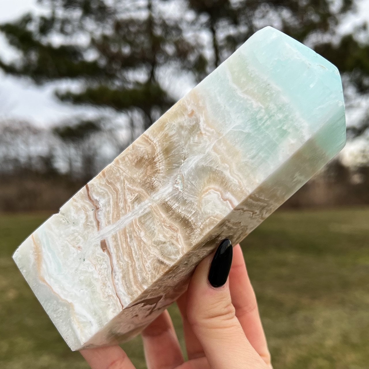 Large Caribbean Calcite Tower