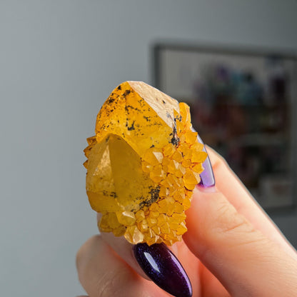 Sunshine Spirit Quartz Cactus Cluster