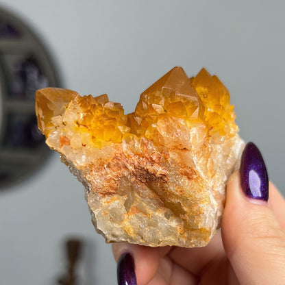 Sunshine Spirit Quartz Cactus Cluster
