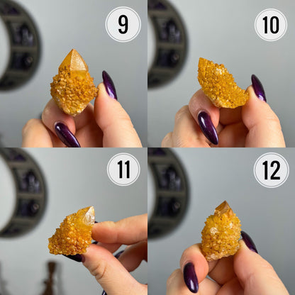 Sunshine Spirit Quartz Cactus Cluster Points