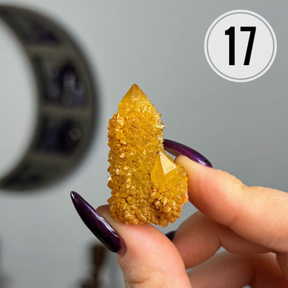 Sunshine Spirit Quartz Cactus Cluster Points