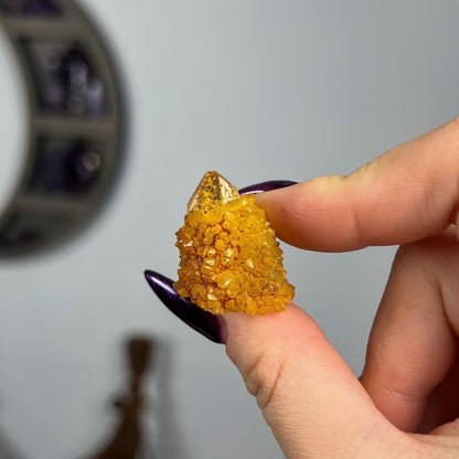 Sunshine Spirit Quartz Cactus Cluster Points