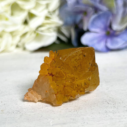 Sunshine Spirit Quartz Cactus Cluster