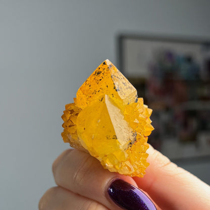 Sunshine Spirit Quartz Cactus Cluster