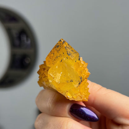 Sunshine Spirit Quartz Cactus Cluster
