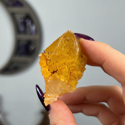 Sunshine Spirit Quartz Cactus Cluster