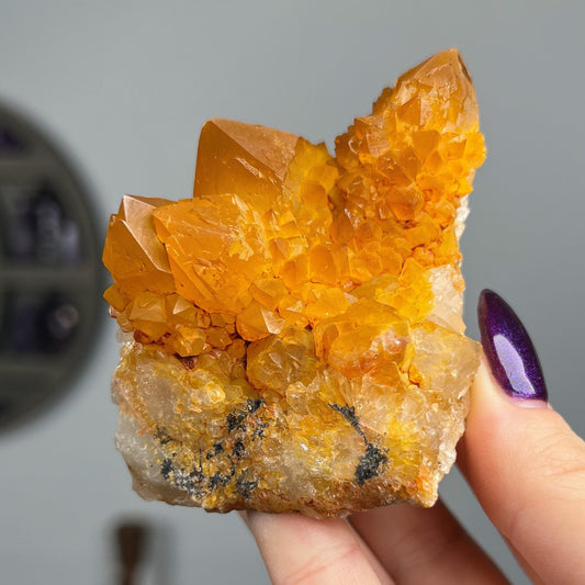 Sunshine Spirit Quartz Cactus Cluster