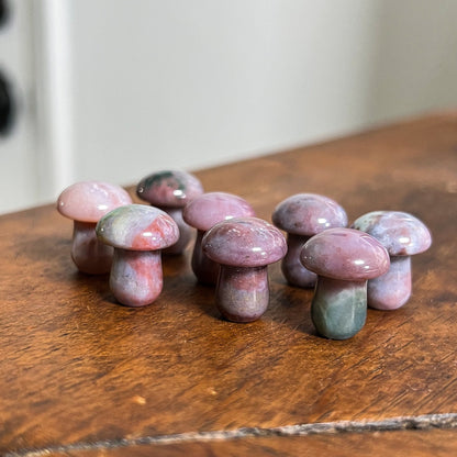 Mini Ocean Jasper Mushrooms