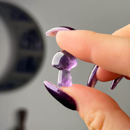 Mini Gem Amethyst Mushrooms