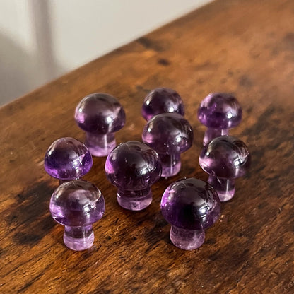Mini Gem Amethyst Mushrooms