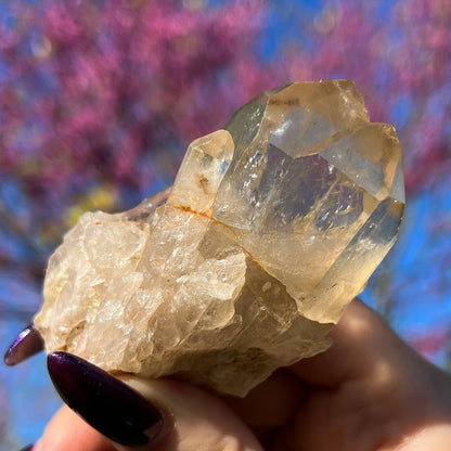 Elestial Congo Citrine Cluster